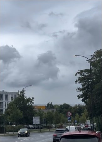A street with luminaires and traffic under an overcast sky